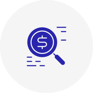 Magnifying glass with dollar sign icon.