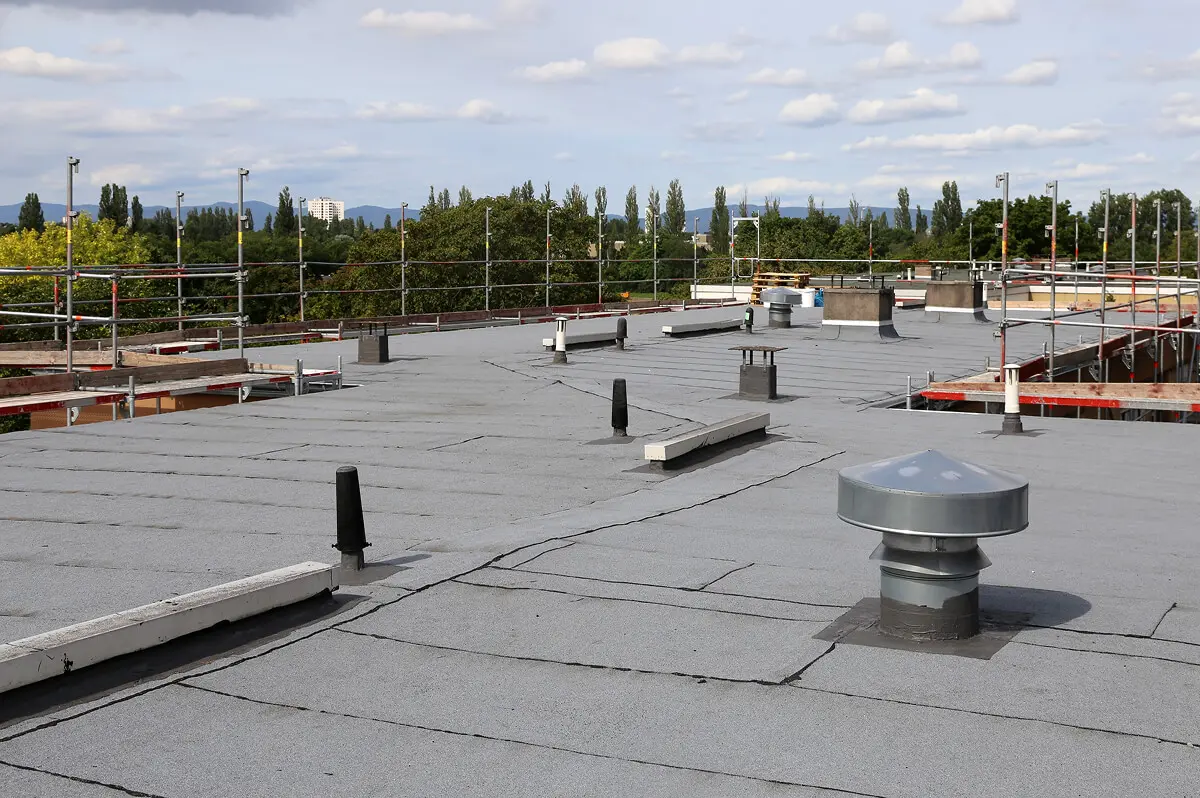 Flat roof with ventilation pipes and trees.